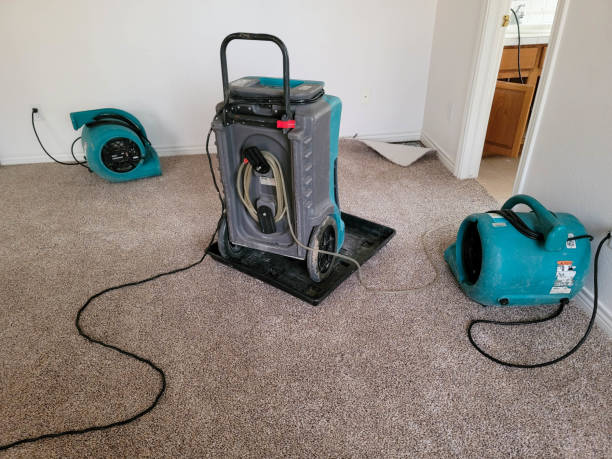 Best Local water damage restoration  in Shawano, WI