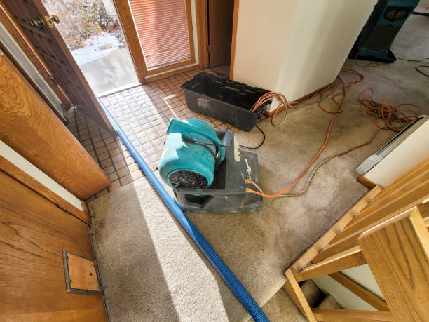 Best Water damage restoration near me  in Shawano, WI