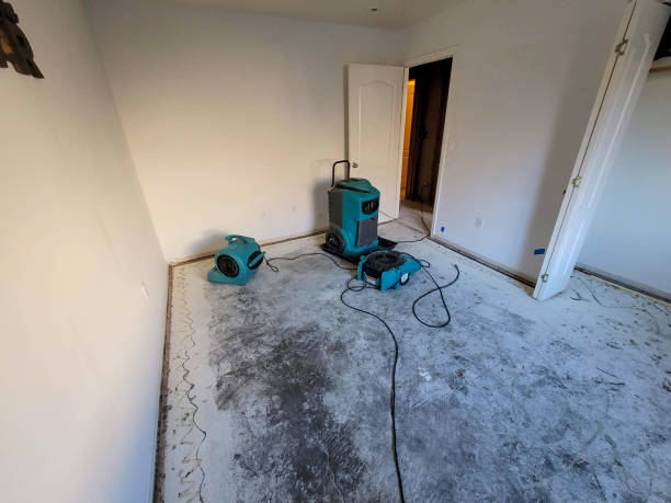 Best Water damage contractors near me  in Shawano, WI