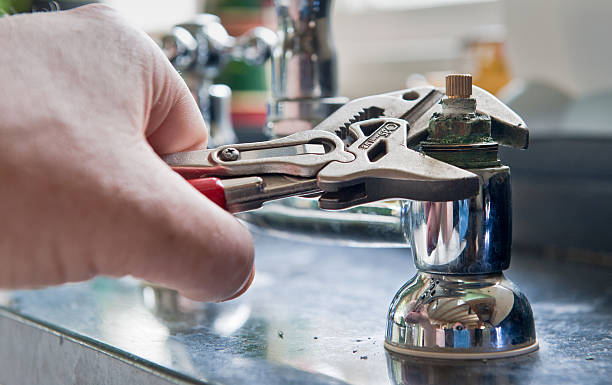 Best Professional water damage repair  in Shawano, WI