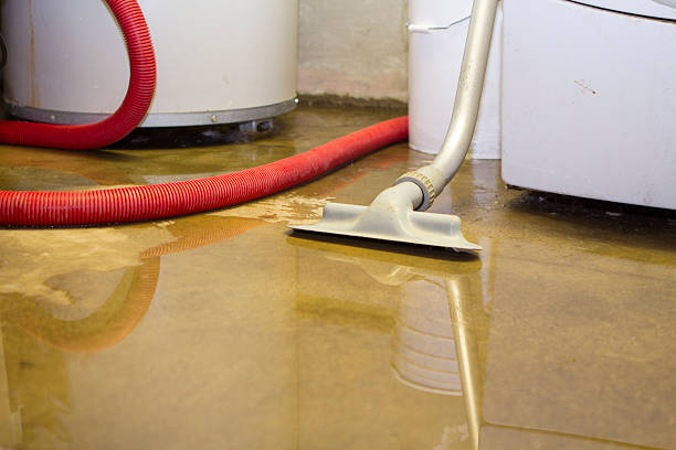Best Water damage restoration specialists  in Shawano, WI
