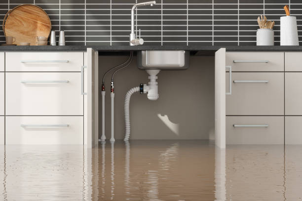  Shawano, WI Water damage restoration Pros