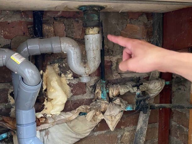 Best Mold removal after water damage  in Shawano, WI