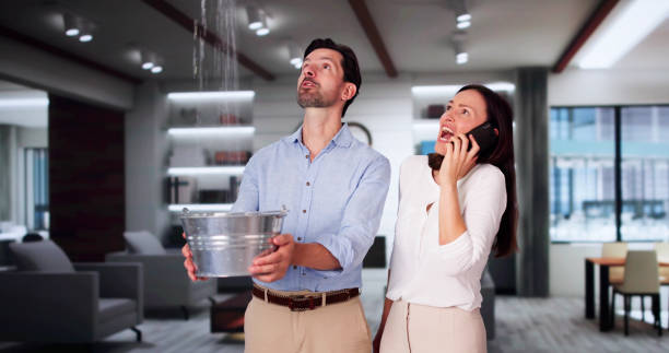 Best Water damage cleanup near me  in Shawano, WI