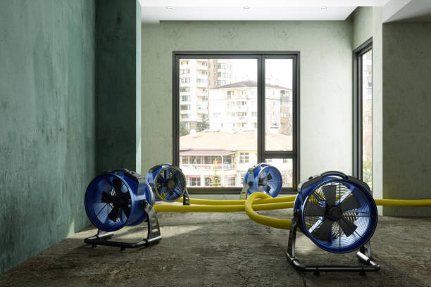 Best 24-hour water damage restoration  in Shawano, WI